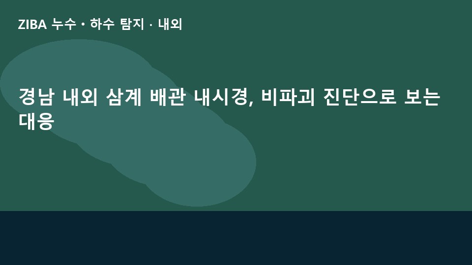 경남 내외 삼계 배관 내시경, 비파괴 진단으로 보는 대응